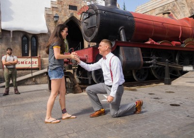 Harry Potter Wizarding World of Harry Potter Marriage Proposal