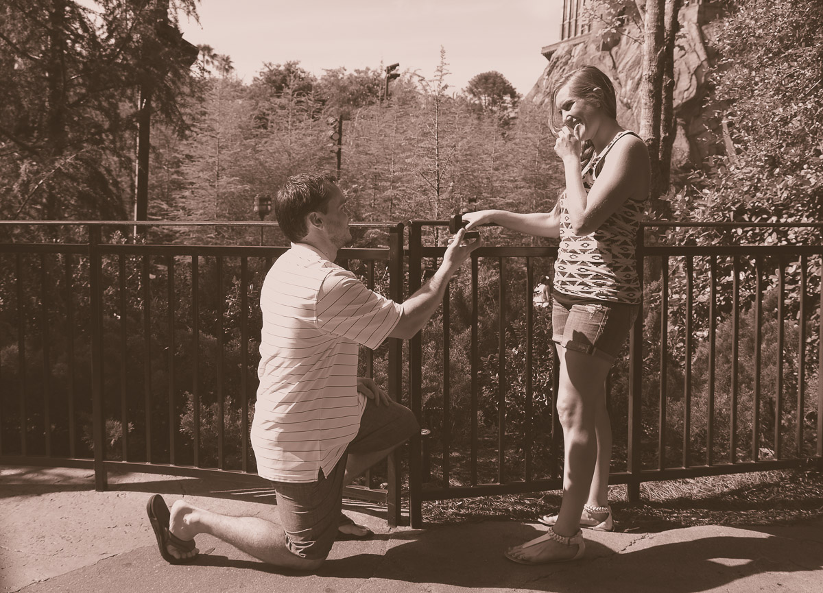Wizarding World of Harry Potter Proposal