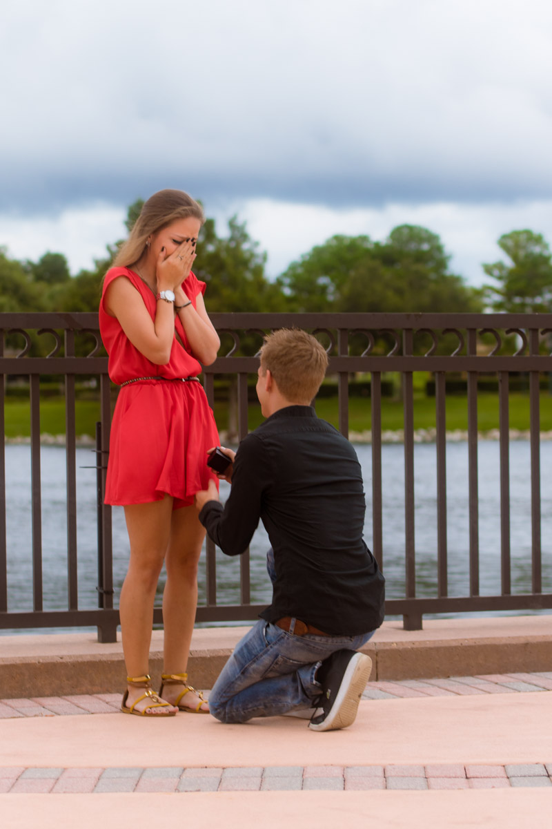 Cranes Roost Marriage Proposal 