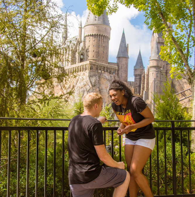Universal Harry Potter Proposal