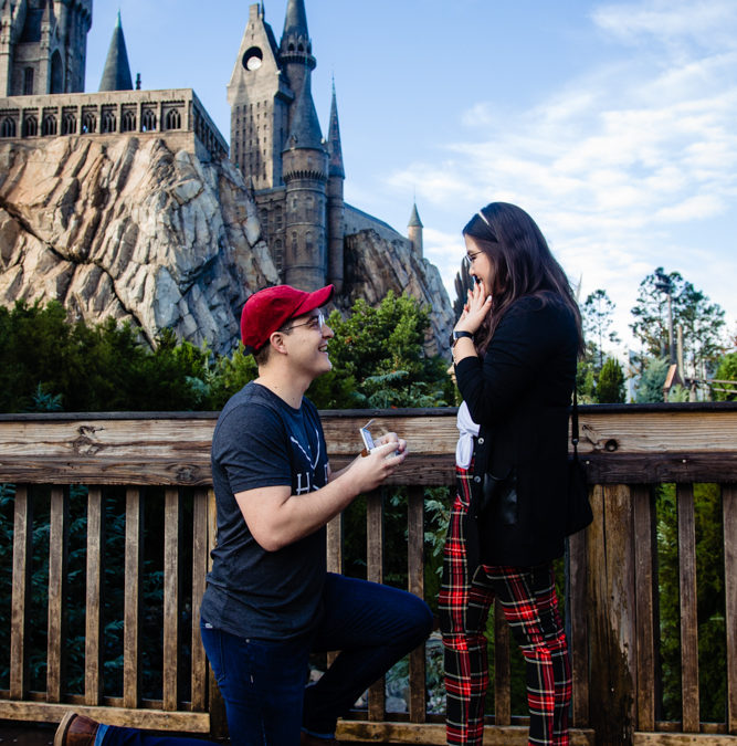 Hogwarts Castle Proposal