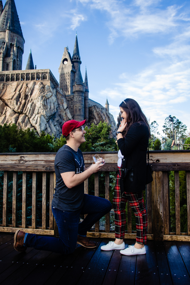 Hogwarts Castle Proposal