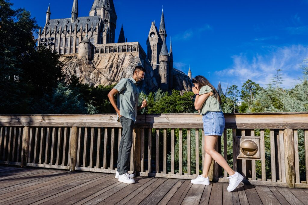 Wizarding World of Harry Potter Proposal 2023 