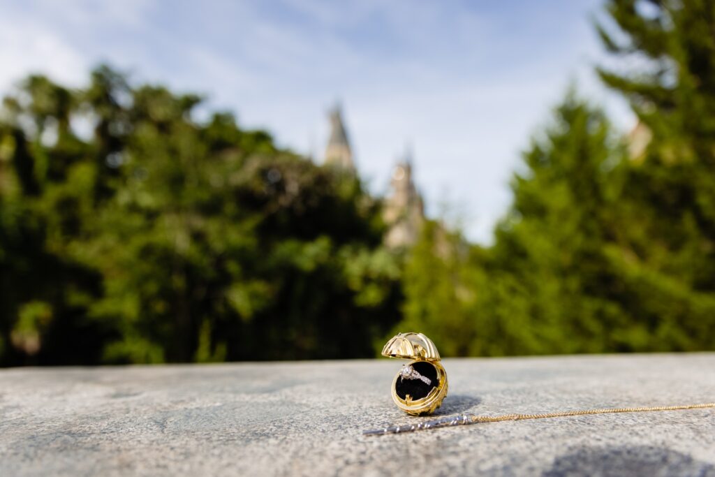 Wizarding World of Harry Potter Proposal Ty and Maya