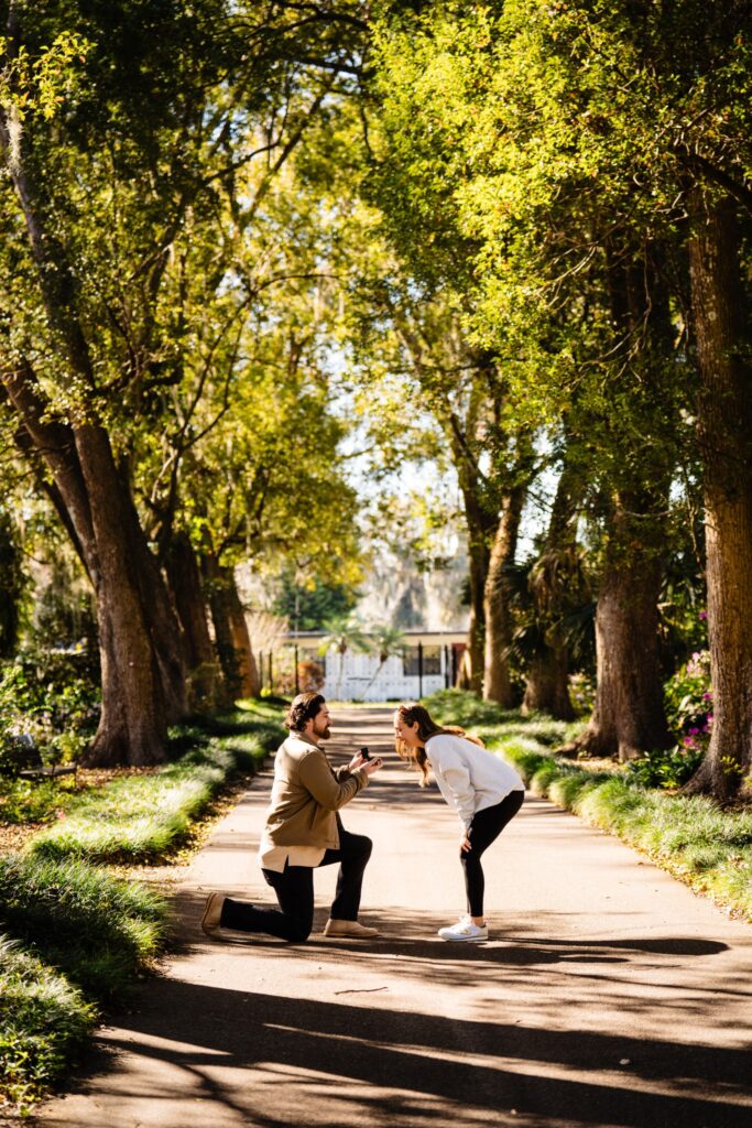 Leu Gardens Proposal Orlando Proposal photographer
